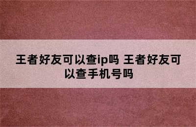 王者好友可以查ip吗 王者好友可以查手机号吗